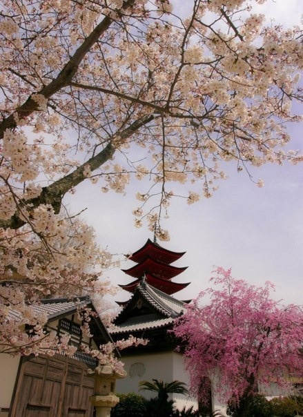 image (439x604, 130Kb)