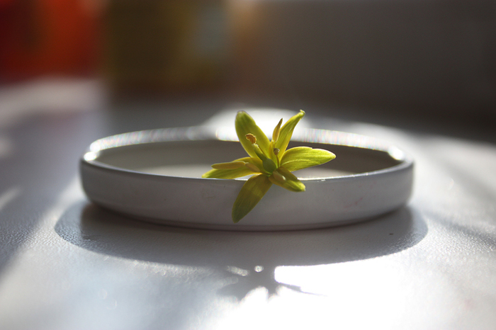 4052195_IMG_1109 (700x466, 223Kb)