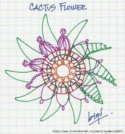 cactusflowerchart02 [800x600] (488x526, 115Kb)