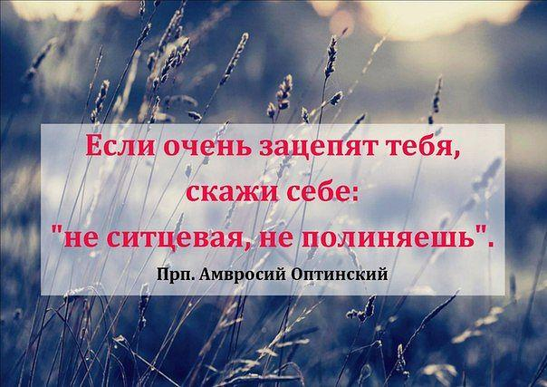 84478_98206944_getImage__13_jpg (604x427, 271Kb)