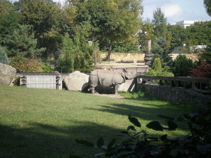 Варшавский зоопарк