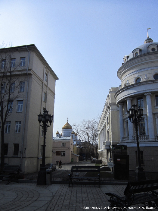 IMG_5826 (525x700, 270Kb)