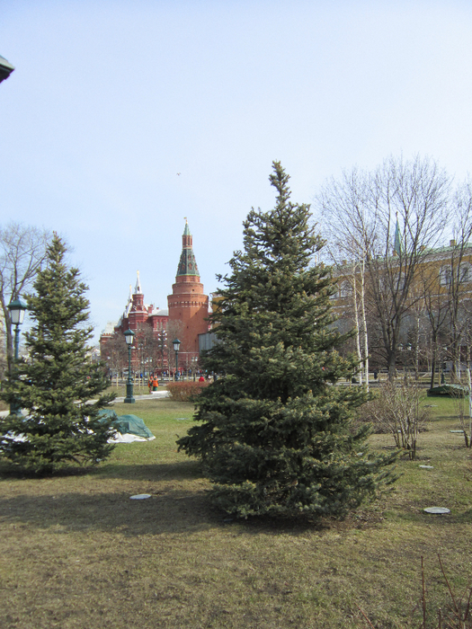 IMG_5833 (525x700, 522Kb)