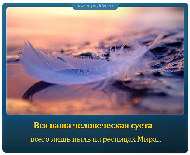 Смотрю как деревья растут все суетишься. Наблюдаю как растут деревья все суетишься. Всё суетишься картинка. Картинка смотрю как деревья растут.