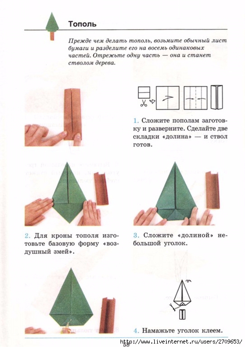 Тополь (T14)