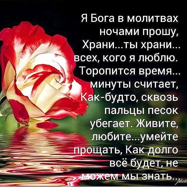 4279149_hrani_vseh_kogo_lublu_ (604x604, 118Kb)