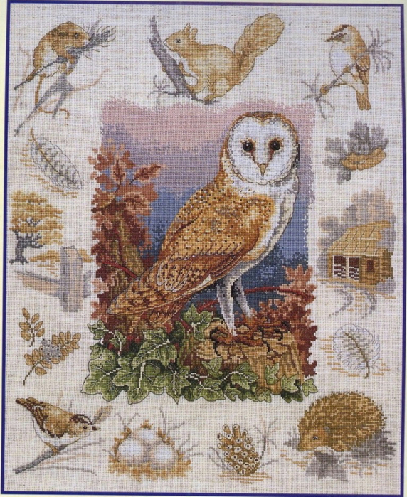 Owl and Woodland Wildlife (572x700, 534Kb)