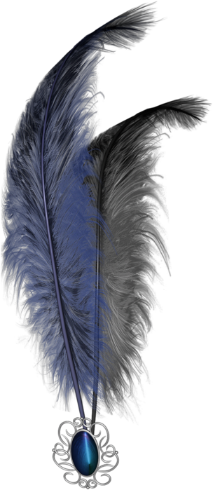 feathers (2) (304x700, 271Kb)