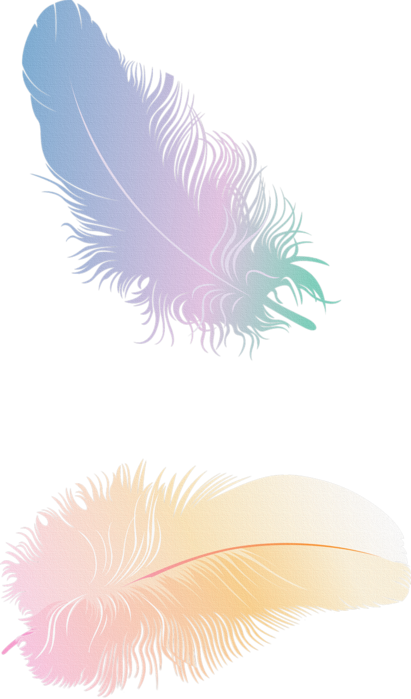 feathers (7) (411x700, 289Kb)