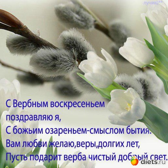http://img1.liveinternet.ru/images/attach/c/0/121/694/121694159_1394152_77361550x500.jpg