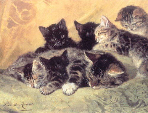 A Time for Rest and Thought with Kittens (500x385, 232Kb)