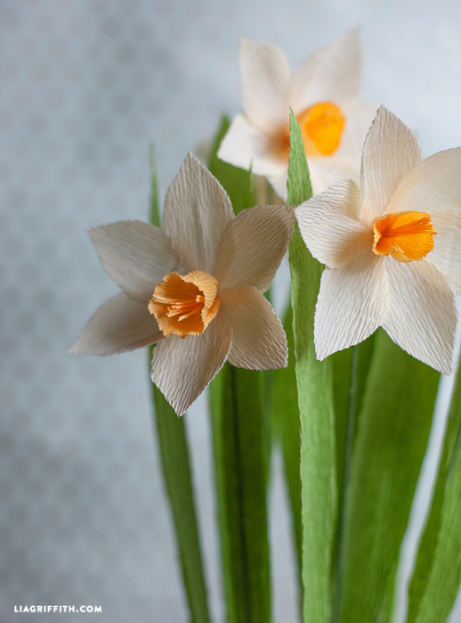 Daffodils_DIY_Crepe_Paper-560x756 (518x700, 309Kb)