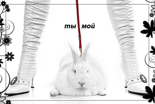  (500x338, 97Kb)