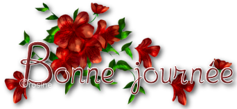 bonnejourn_030608 (342x158, 65Kb)