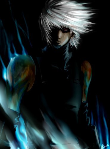  (370x500, 24Kb)