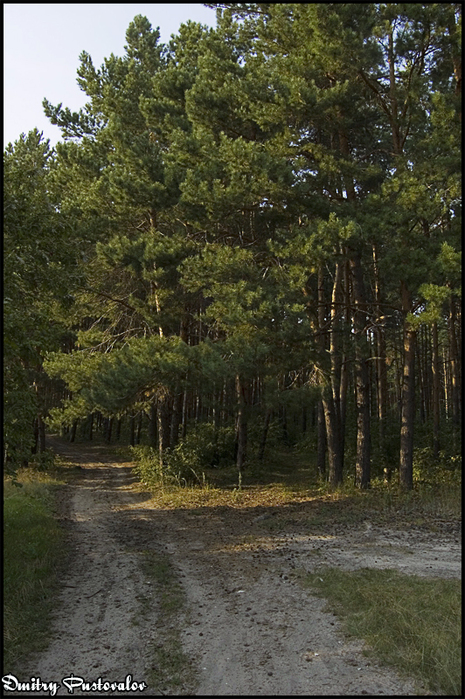 210808_2 (465x699, 385Kb)
