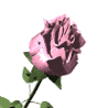 14840_prev_98 (98x98, 22Kb)