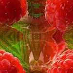 (150x150, 19Kb)
