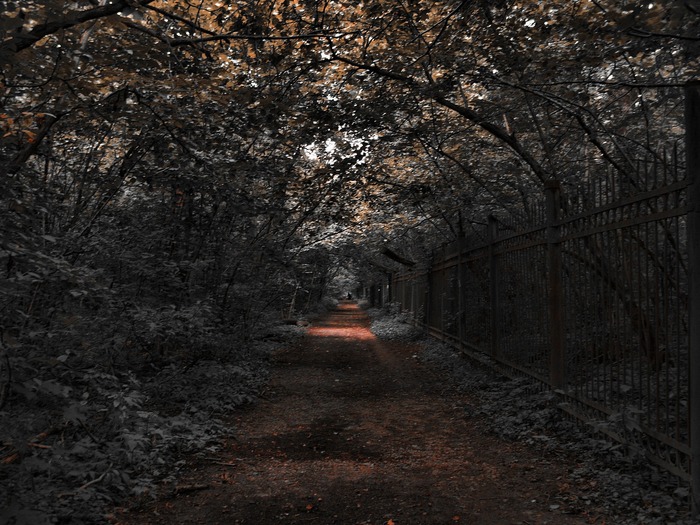  (700x525, 152Kb)