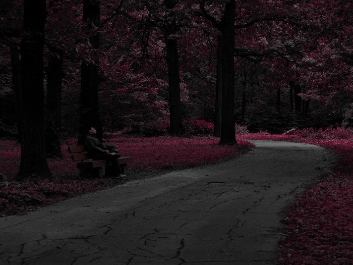  (700x525, 98Kb)