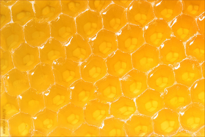 honey-soty-close (700x467, 101Kb)