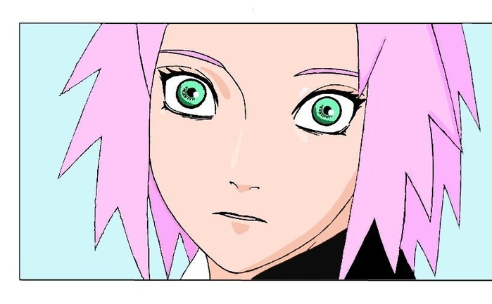 Naruto_v34_ch306_p08  (699x433, 63Kb)