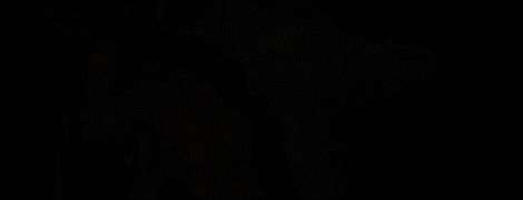 3990076_2730df8f3185 (470x180, 864Kb)