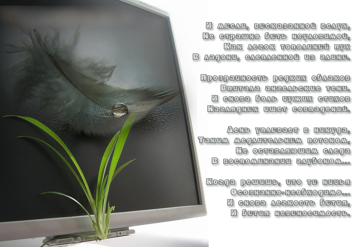 Стих про картину на стене