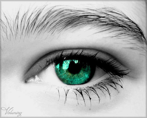  (600x484, 115Kb)