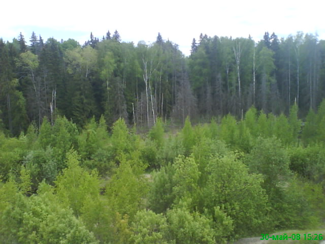  (640x480, 67Kb)