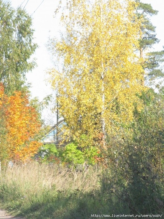  (525x700, 154Kb)