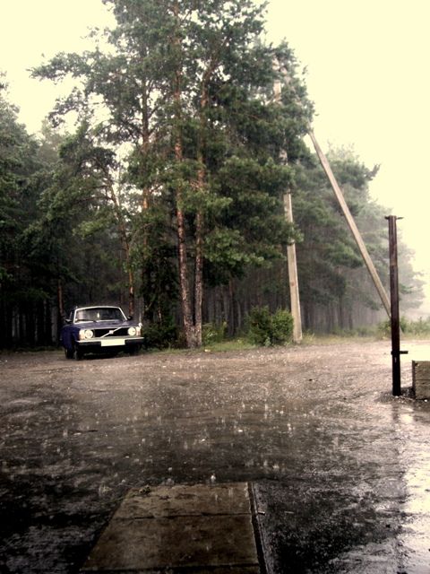 cover (480x640, 68Kb)