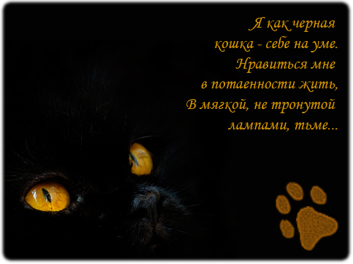  (500x373, 92Kb)