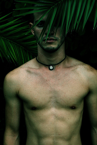  (333x500, 102Kb)