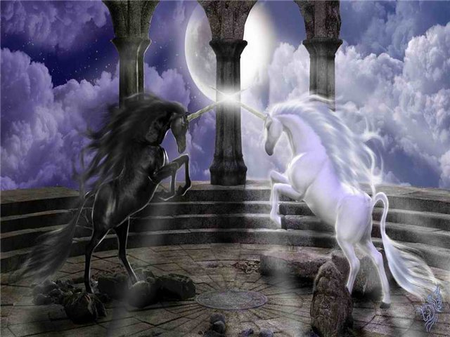 f2c465cdcbdd (640x480, 65Kb)