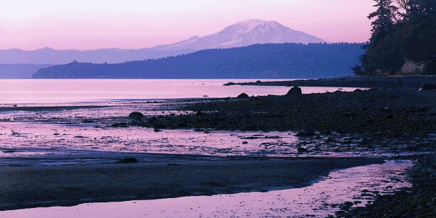  (614x307, 370Kb)