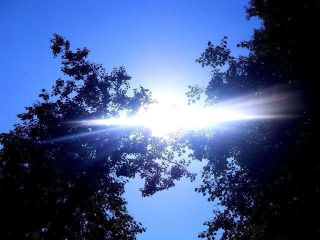  (640x480, 74Kb)