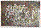  (133x89, 6Kb)