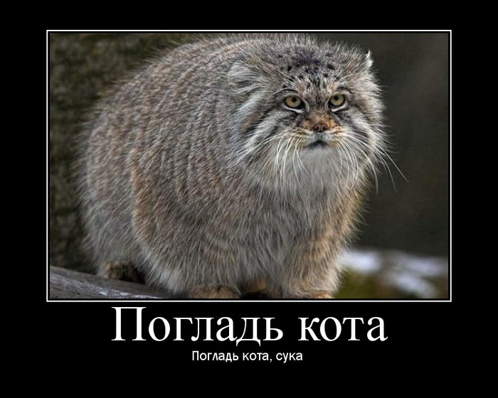 0_1c8f8_21277a1d_orig (700x560, 77Kb)