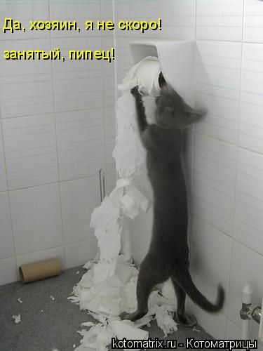  (375x500, 23Kb)
