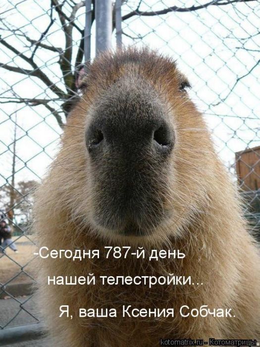  (525x700, 84Kb)