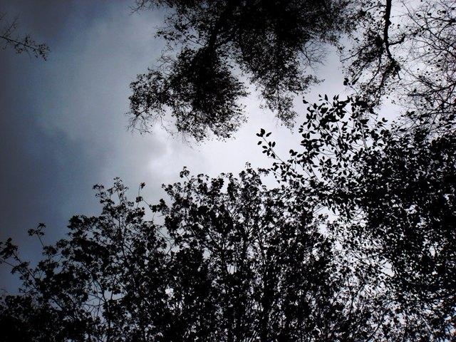  (640x480, 313Kb)