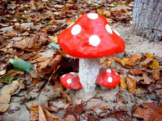  (640x480, 237Kb)