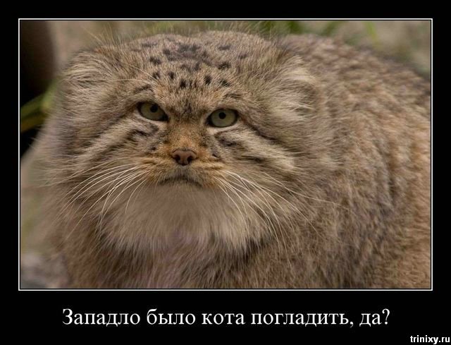 (640x489, 61Kb)