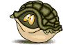 (91x66, 13Kb)