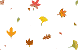 31659954_30853182_th_thclearbackgrdleaves1 (155x100, 17Kb)