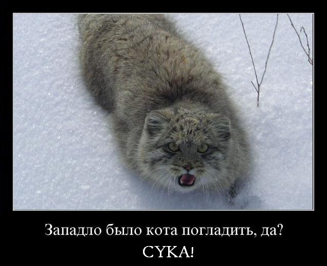  (638x519, 43Kb)