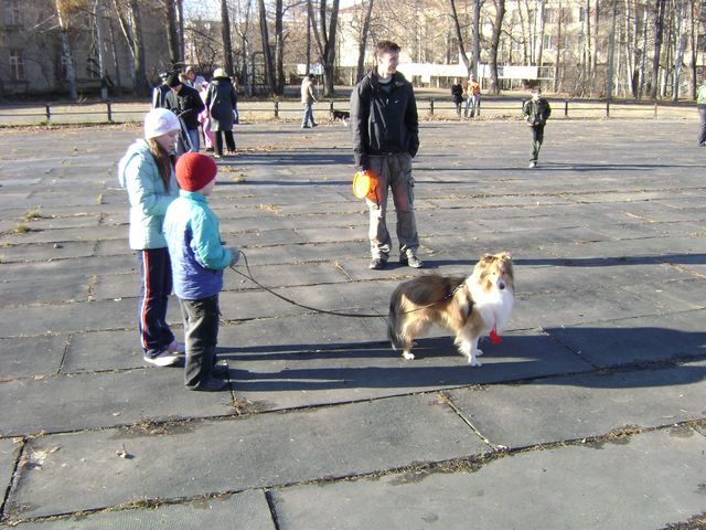  (640x480, 95Kb)