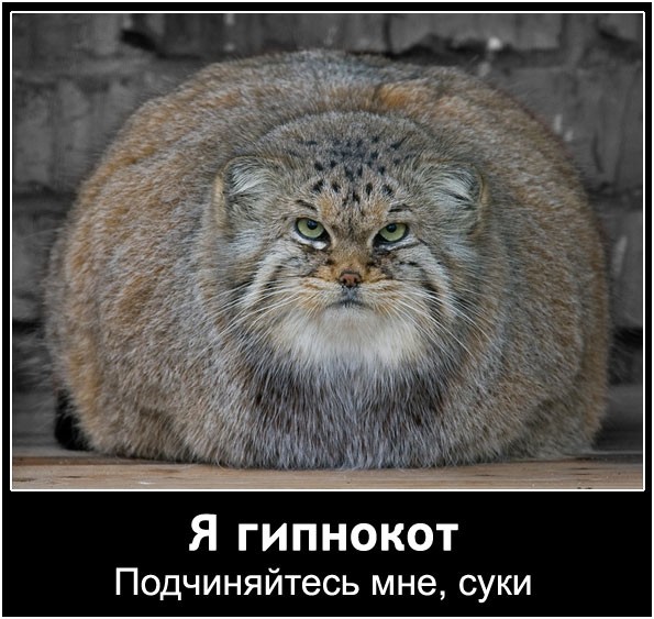  (595x563, 98Kb)