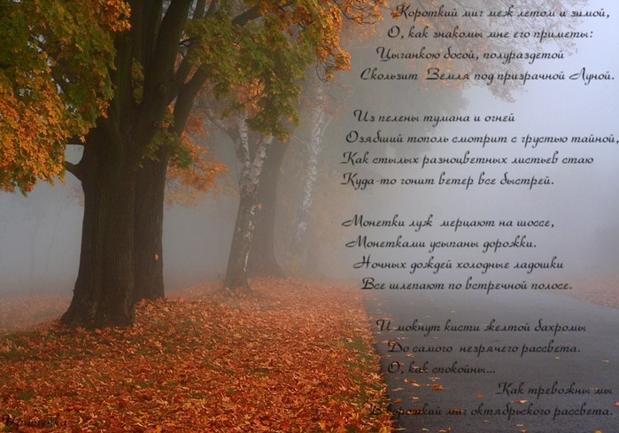  (699x489, 101Kb)